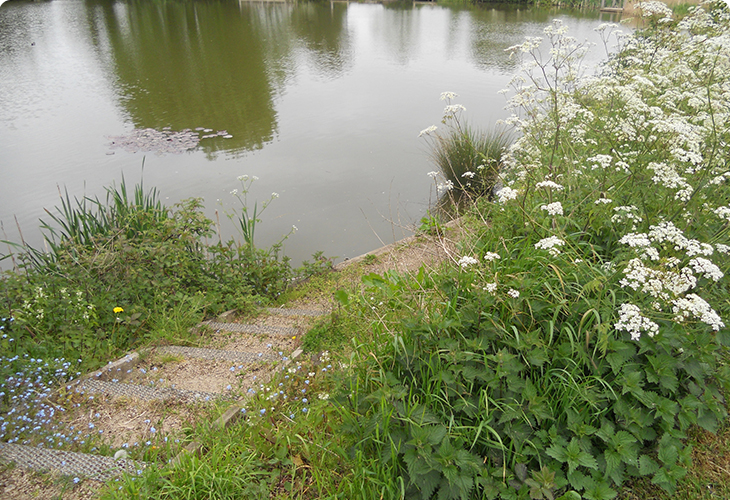 Fish Pond Barton Under Needwood Parish Council